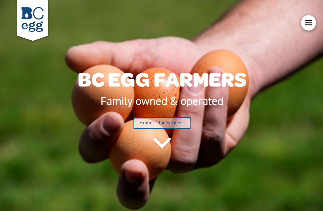 BC Egg header image